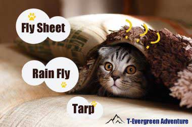 รู้ไหม ? Fly Sheet, Tarp, และ Rain Fly สามอย่างนี้แตกต่างกันอย่างไร